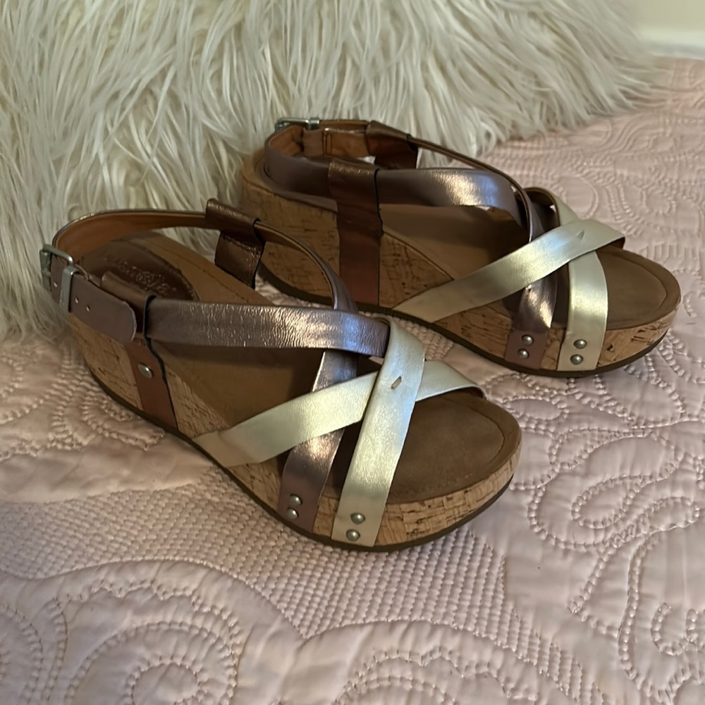 ⚜️Bussola⚜️ Fabia Tri-Tone Metallic Wedges -size 9